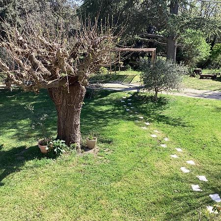 Au Mas Des Chenes Villa La Baume-de-Transit Dış mekan fotoğraf
