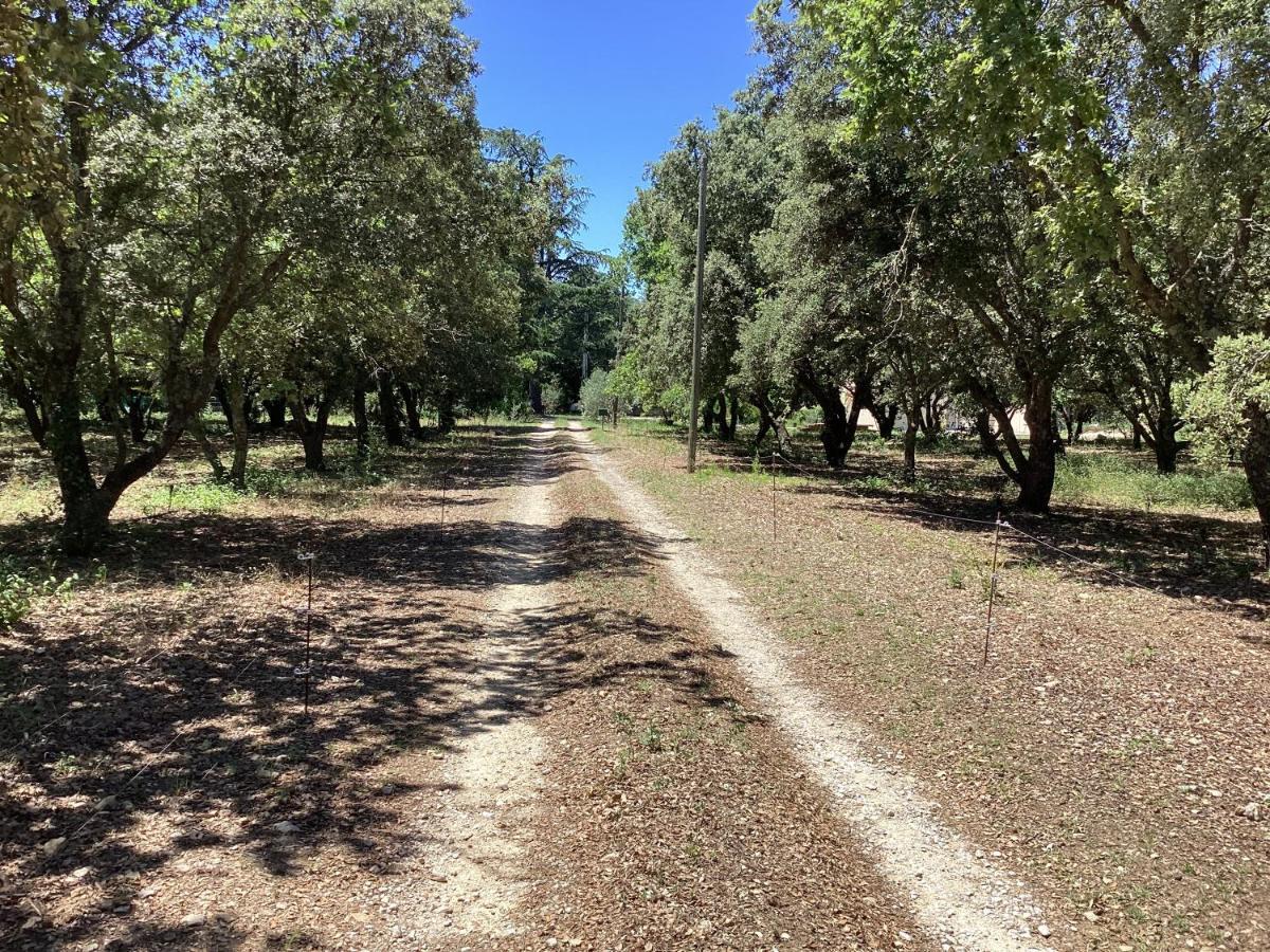 Au Mas Des Chenes Villa La Baume-de-Transit Dış mekan fotoğraf